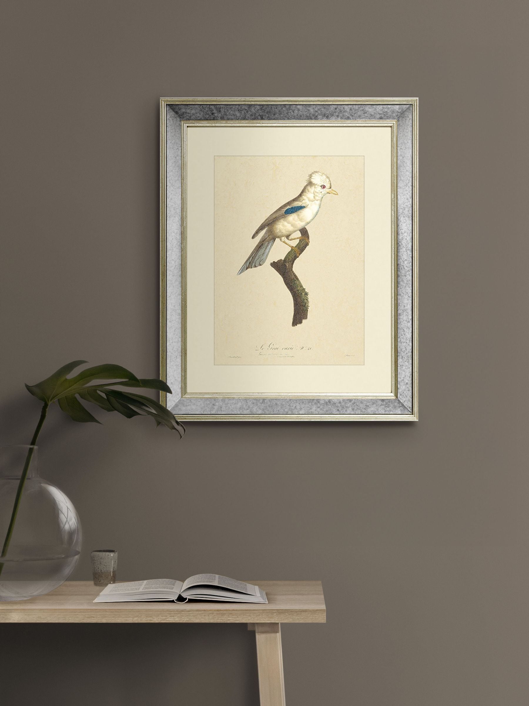 Brookpace Lascelles Tropical Bird I wall art mirror 40x50cm, imported from the UK
