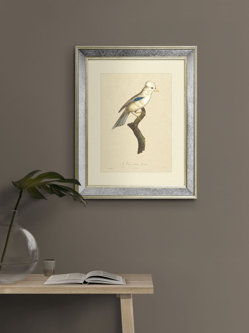 Brookpace Lascelles Tropical Bird I wall art mirror 40x50cm, imported from the UK