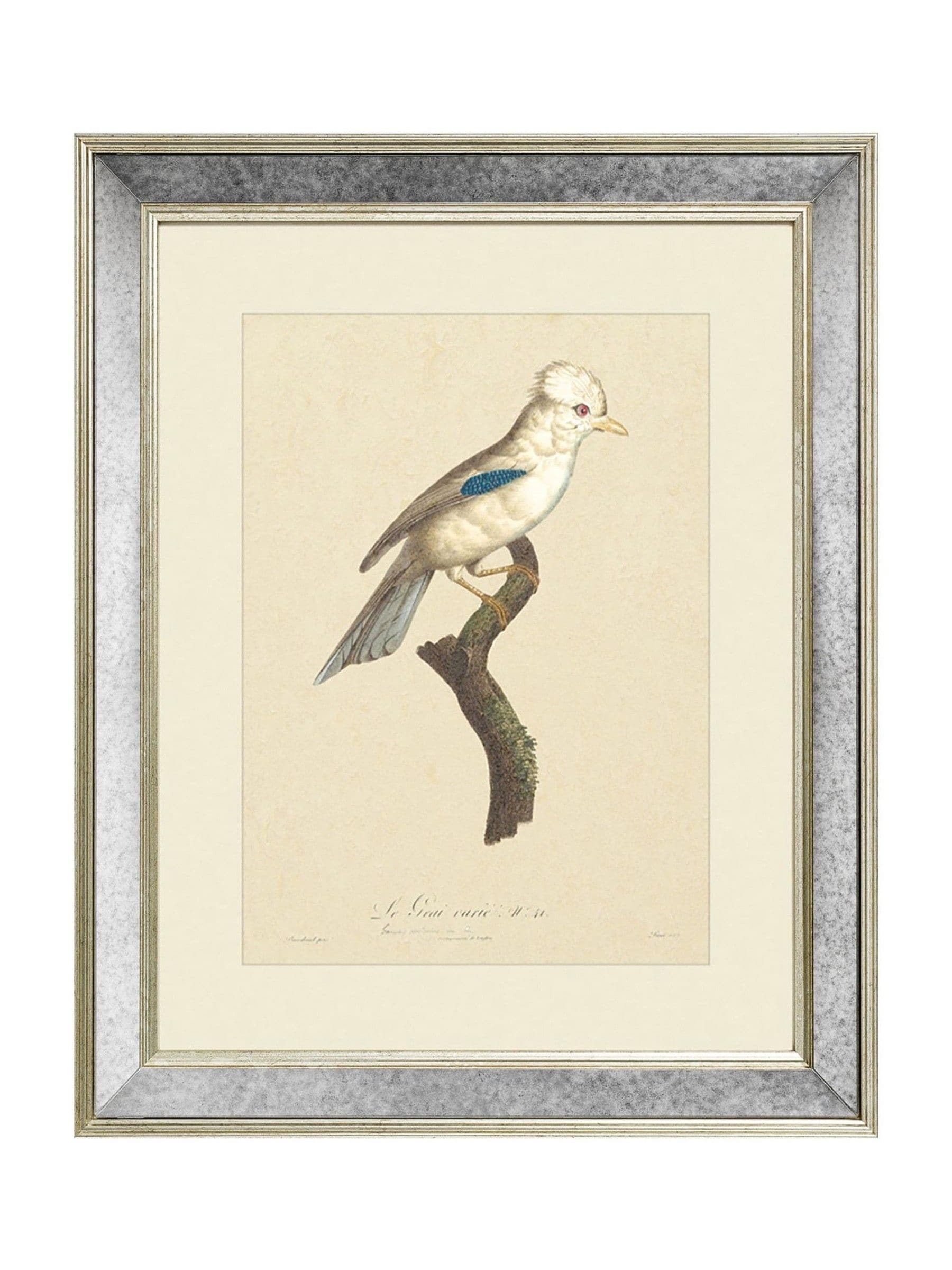 Brookpace Lascelles Tropical Bird I wall art mirror 40x50cm, imported from the UK