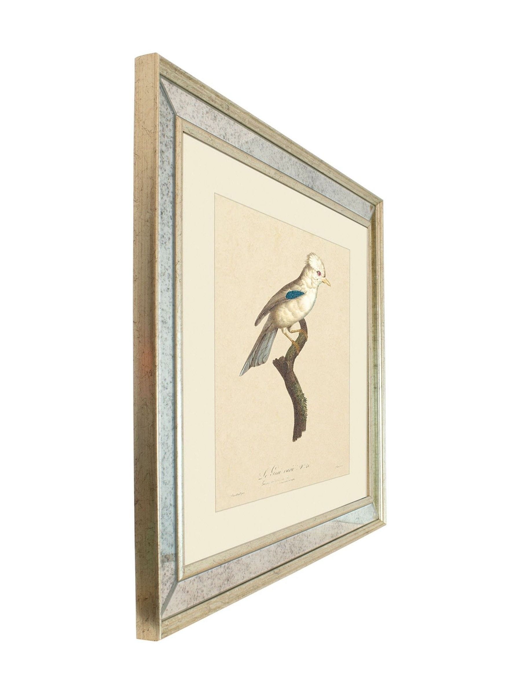Brookpace Lascelles Tropical Bird I wall art mirror 40x50cm, imported from the UK