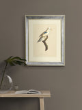 Brookpace Lascelles Tropical Bird I wall art mirror 40x50cm, imported from the UK