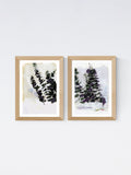 East End Prints Cartissi Oak Eucalyptus wall art prints set of two - British product