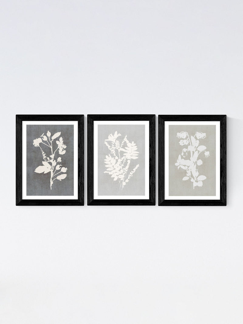East End Prints white botanical illustration triptych wall art - British product