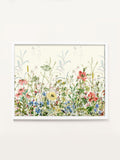 Laura Ashley white poppy meadow small wall art frame, UK version
