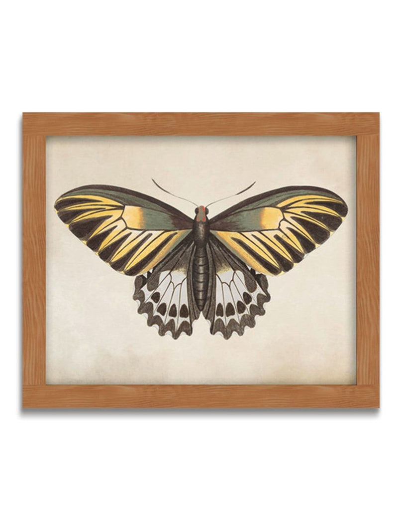 Graham & Brown Whimsical Wings butterfly wall frame (British brand)
