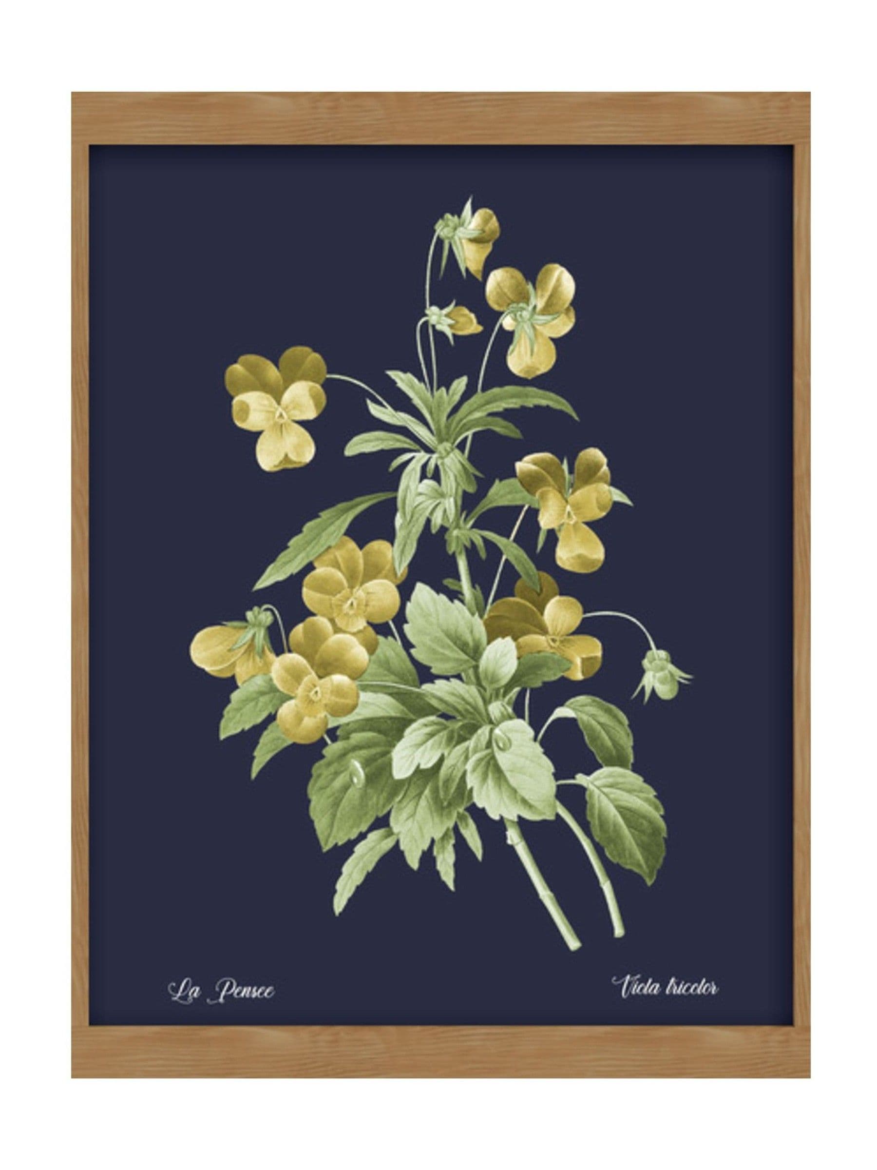 Graham & Brown Glasshouse Viola framed art, imported from the UK