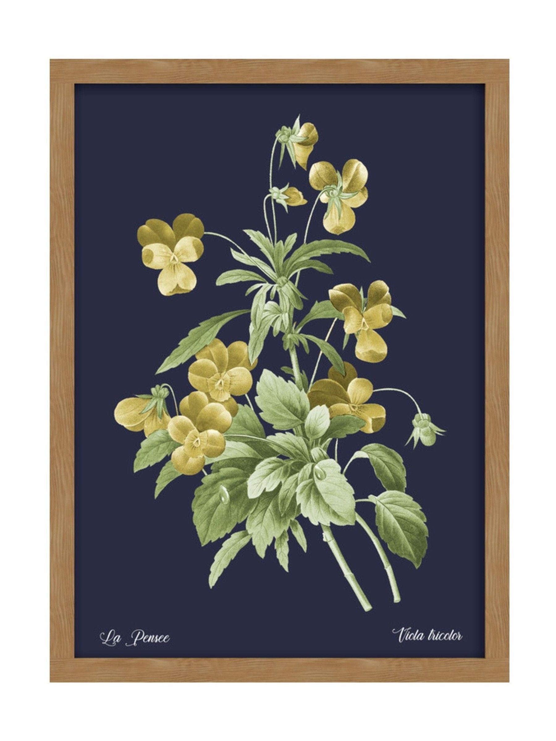 Graham & Brown Glasshouse Viola framed wall art (British brand)