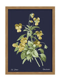 Graham & Brown Glasshouse Viola framed wall art (British brand)