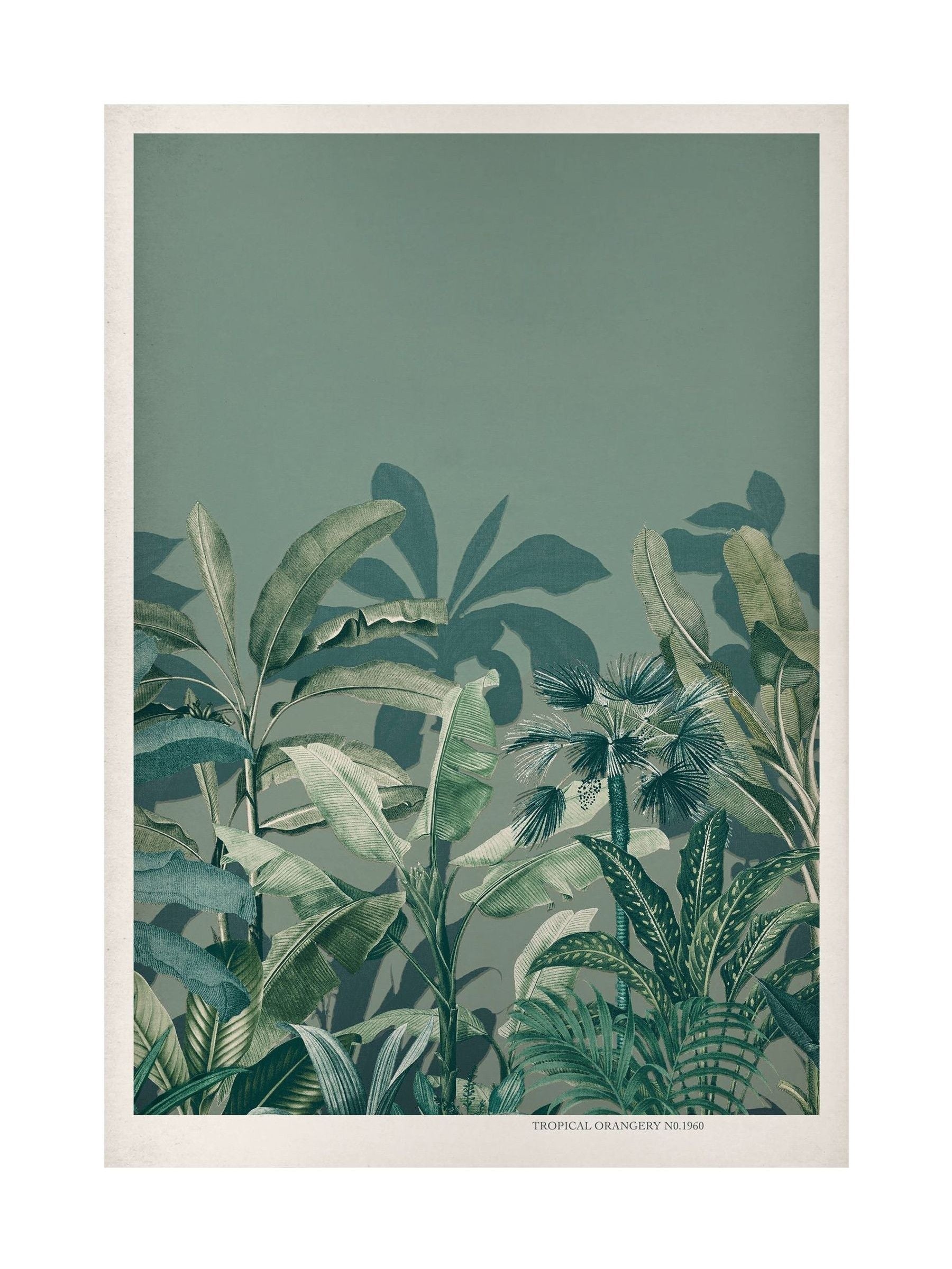 Graham & Brown Congo Green wood frame wall art - British product