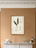 Graham & Brown Allium Ursinum botanical wall art, UK version