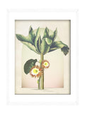 Graham & Brown multicolour jungle tree framed wall art - British product