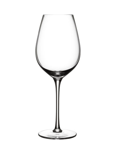 Judge Set of 4 Clear White Wine Glasses 24cm