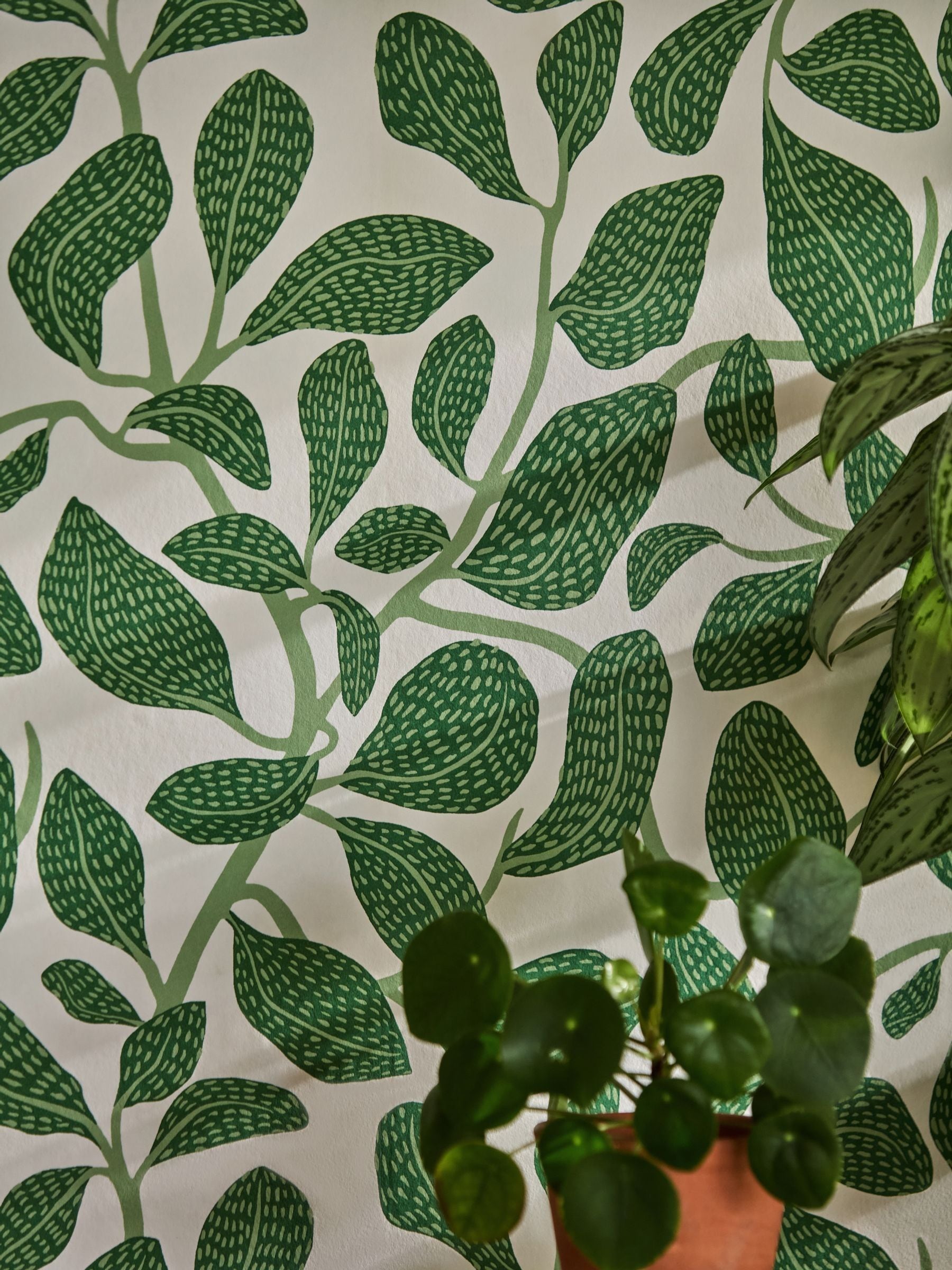 Scion Green Sweet Bay Oakham 10M Wallpaper