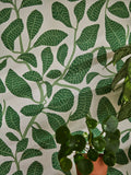 Scion Green Sweet Bay Oakham 10M Wallpaper
