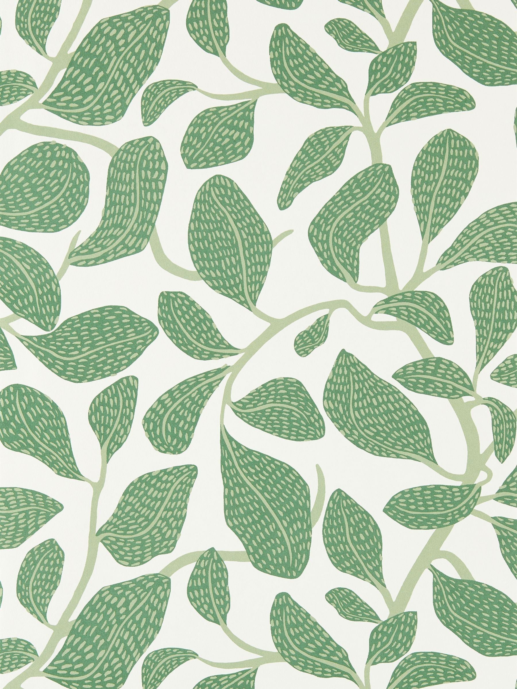 Scion Green Sweet Bay Oakham 10M Wallpaper