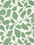 Scion Green Sweet Bay Oakham 10M Wallpaper