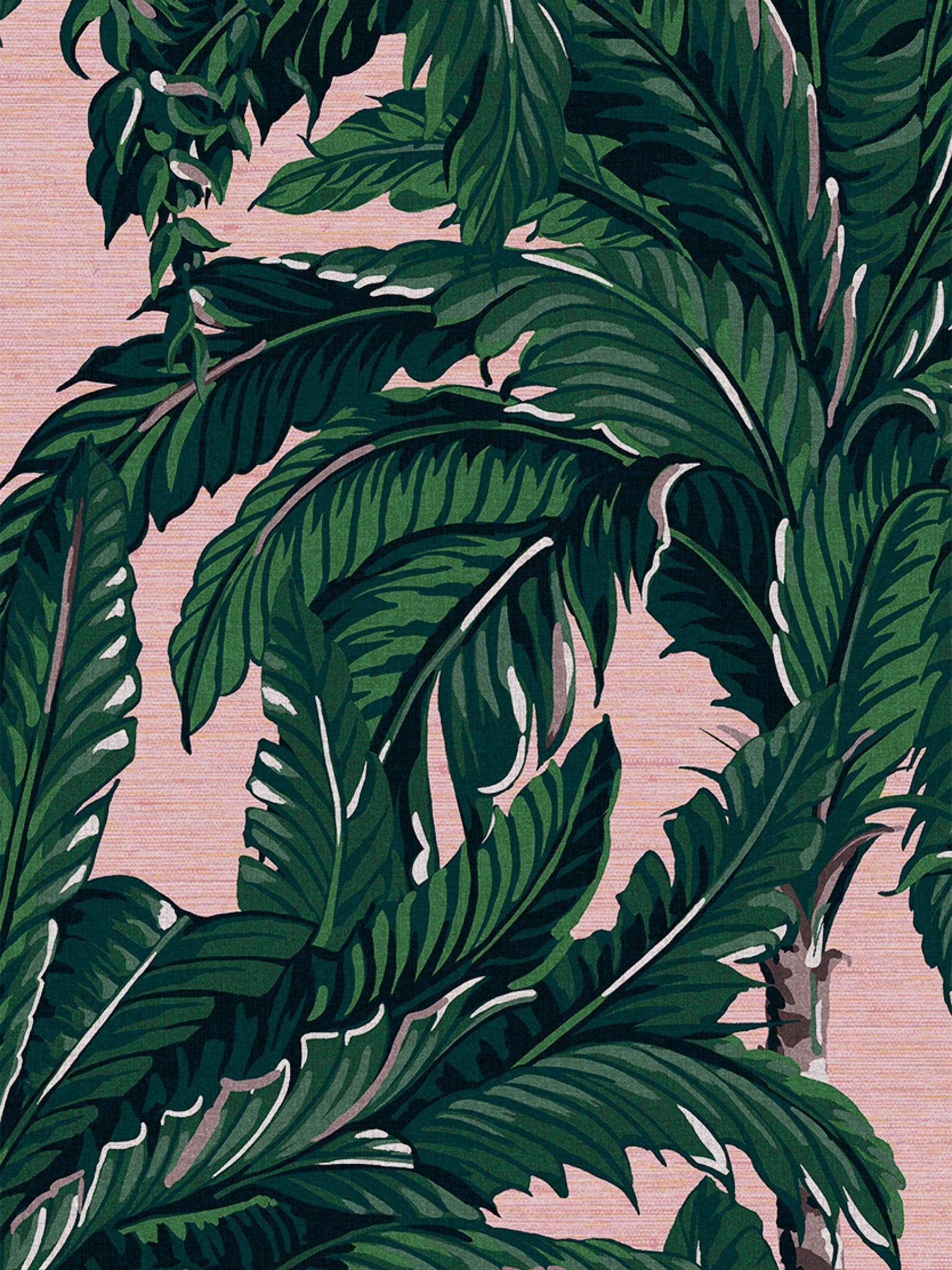 Graham & Brown Blush Daintree Palm 10M Wallpaper