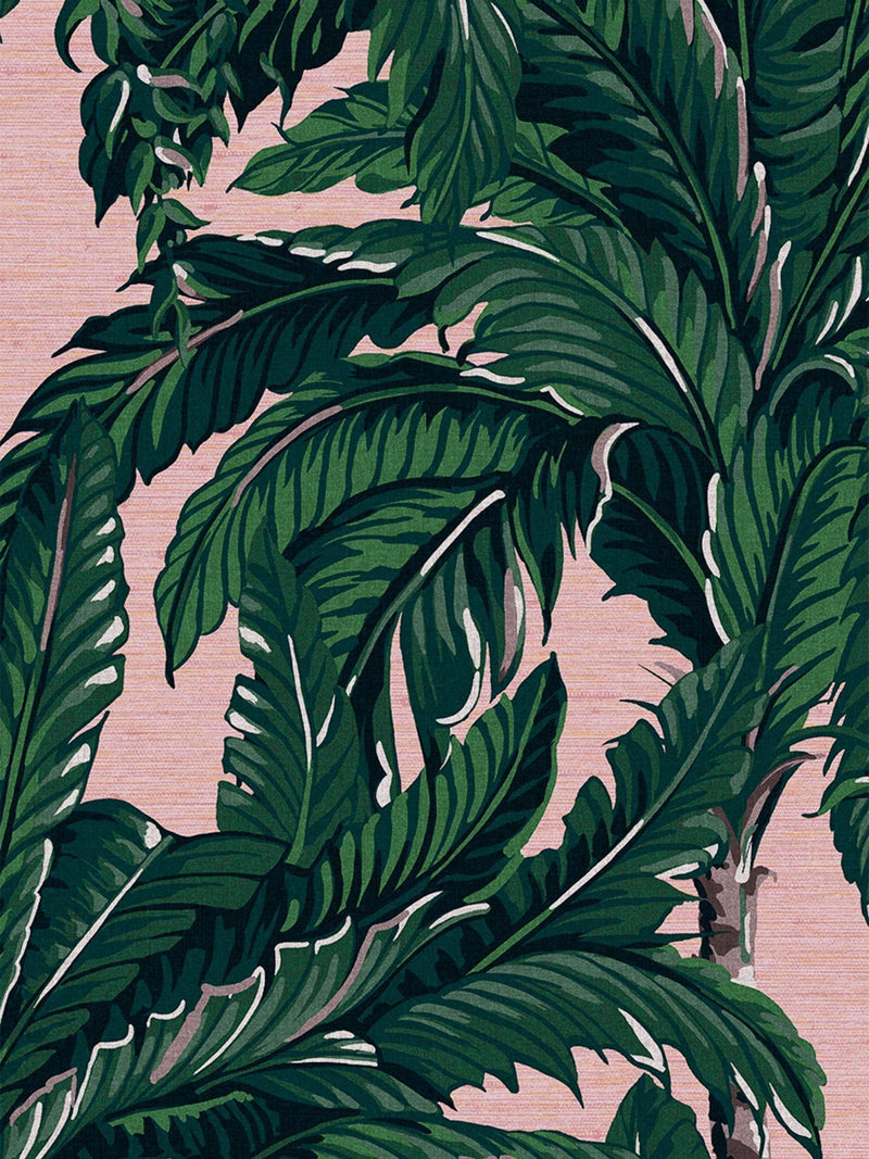 Graham & Brown Blush Daintree Palm 10M Wallpaper