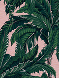 Graham & Brown Blush Daintree Palm 10M Wallpaper