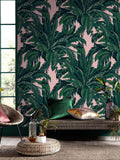 Graham & Brown Blush Daintree Palm 10M Wallpaper