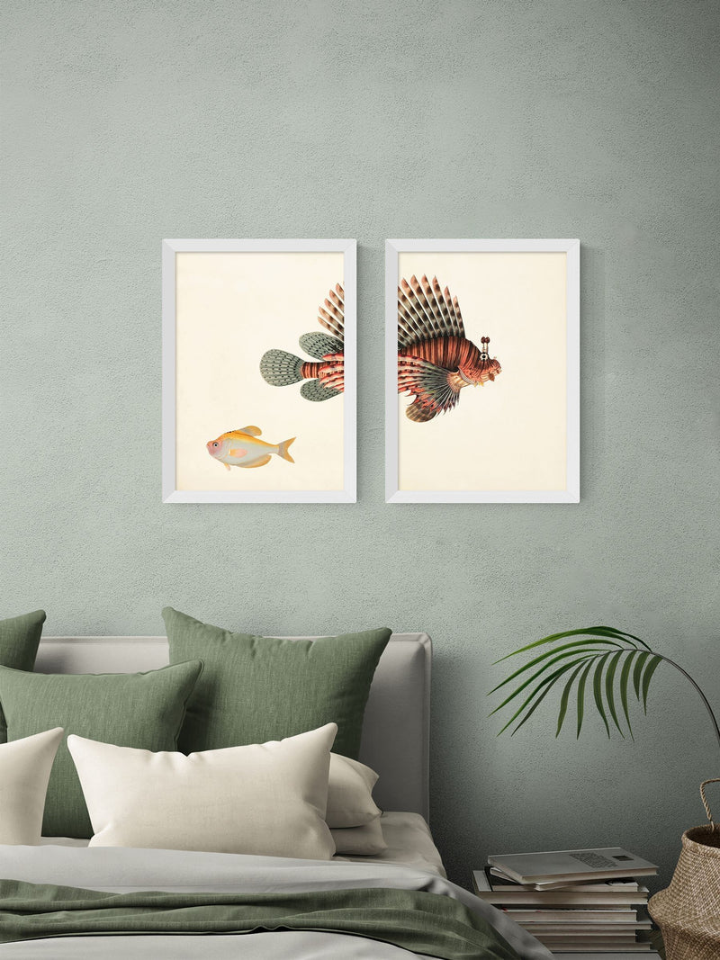 East End Prints Set of 2 Oak Fish Wall Art Prints by Natural History Museum