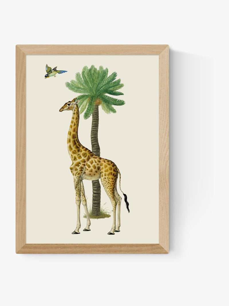 East End Prints Oak Giraffe and Bird Wall Art Print by Natural History Museum