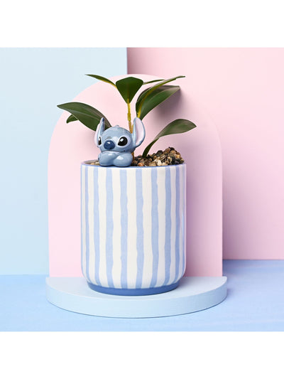 Next Widdop Disney Stitch Blue Ceramic Planter with Faux Plant- Buy online at McGrocer