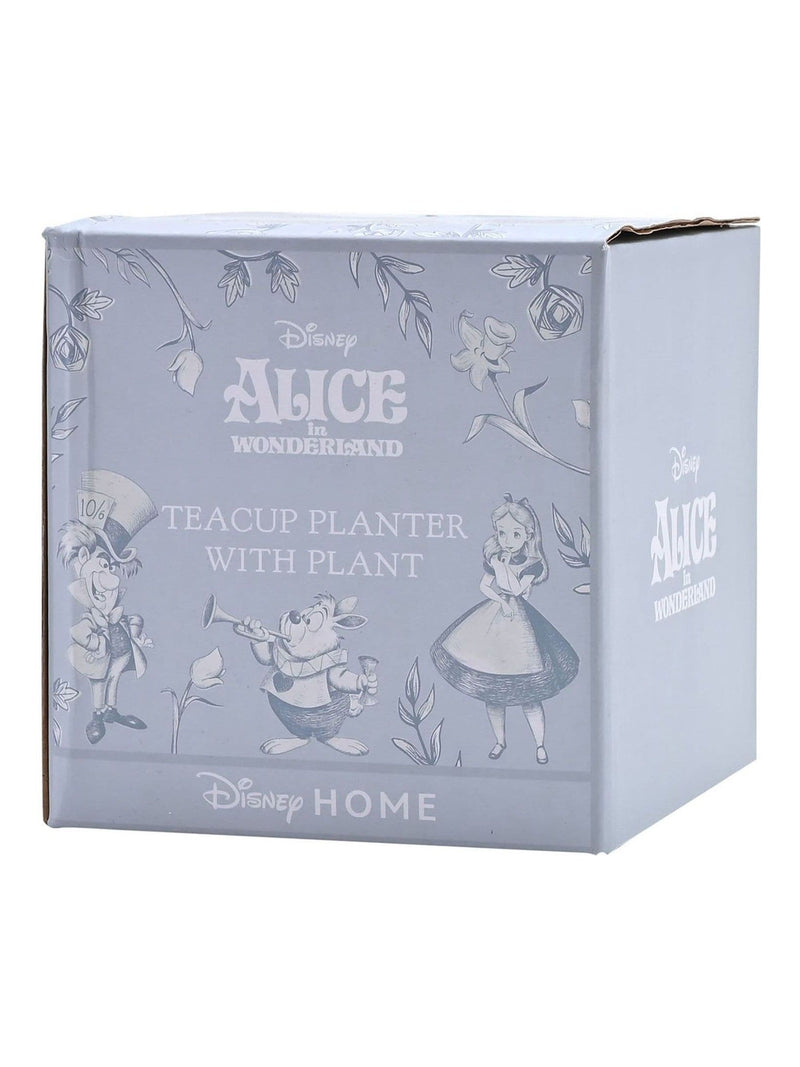 Widdop Disney Alice planter teacup 13cm (British brand)