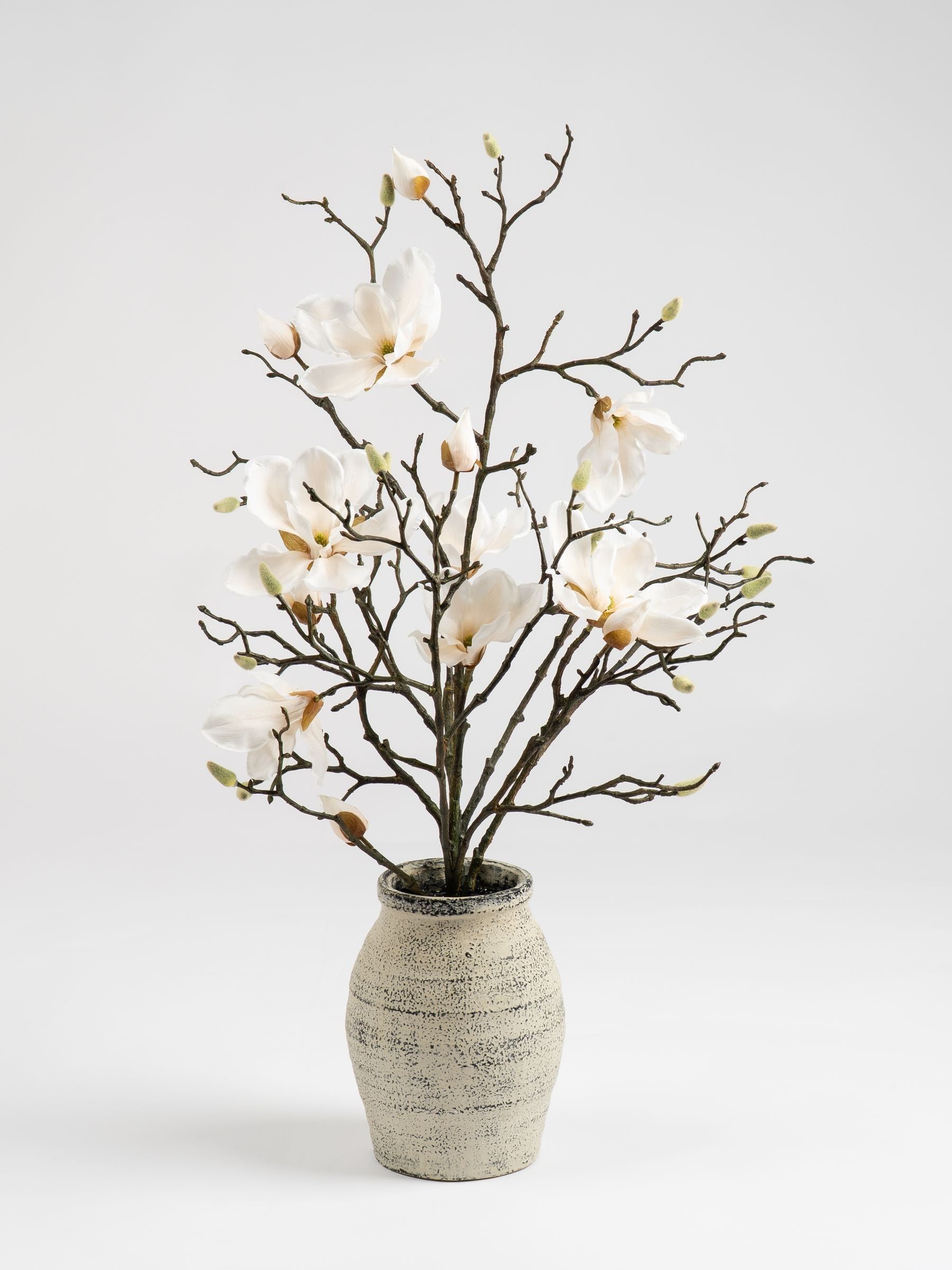 Scottish Everlastings white artificial magnolia arrangement 71cm, UK version