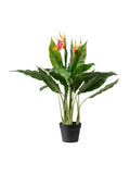 Scottish Everlastings artificial bird of paradise tree with flower 83cm, UK version