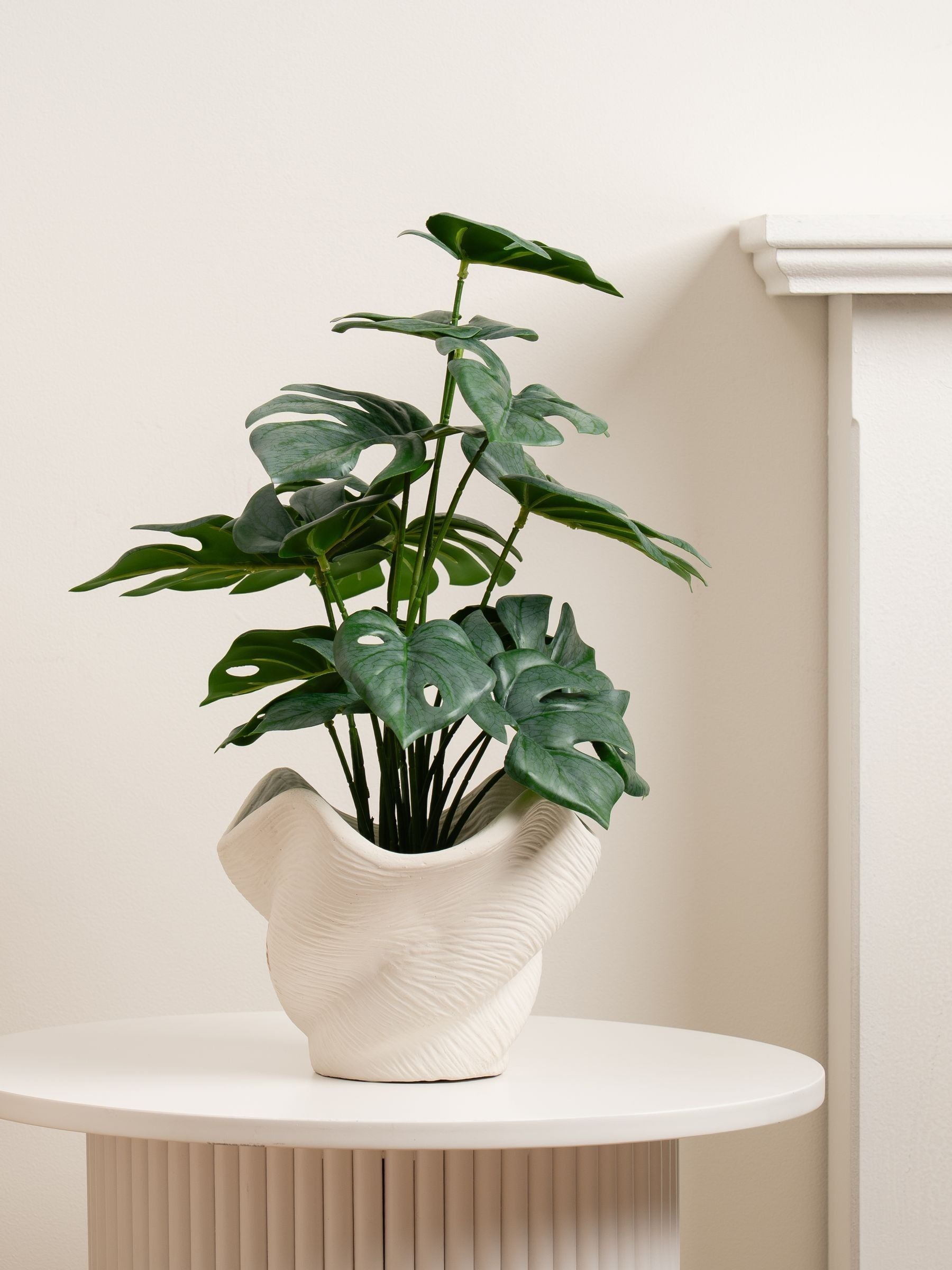 Scottish Everlastings artificial Monstera plant in cement pot, imported from the UK