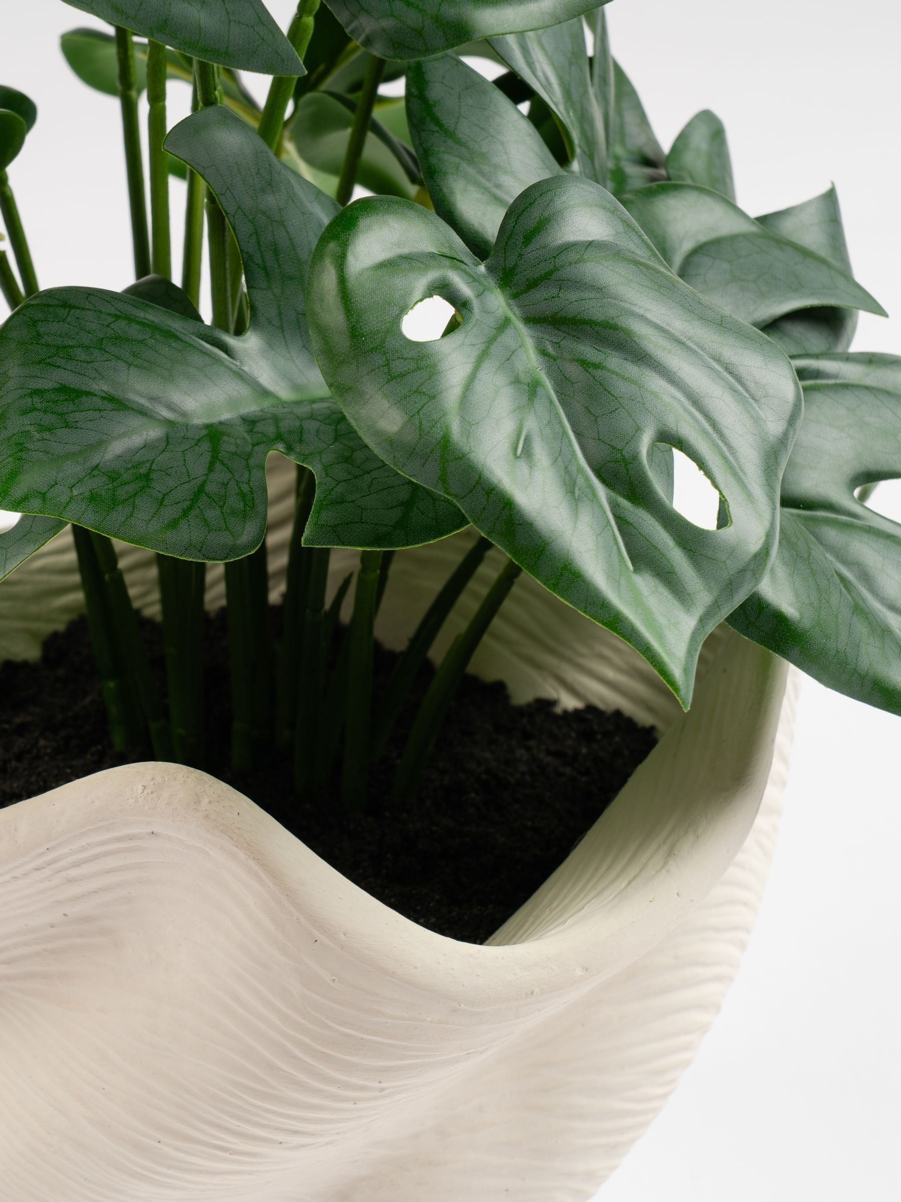 Scottish Everlastings artificial Monstera plant in cement pot, imported from the UK