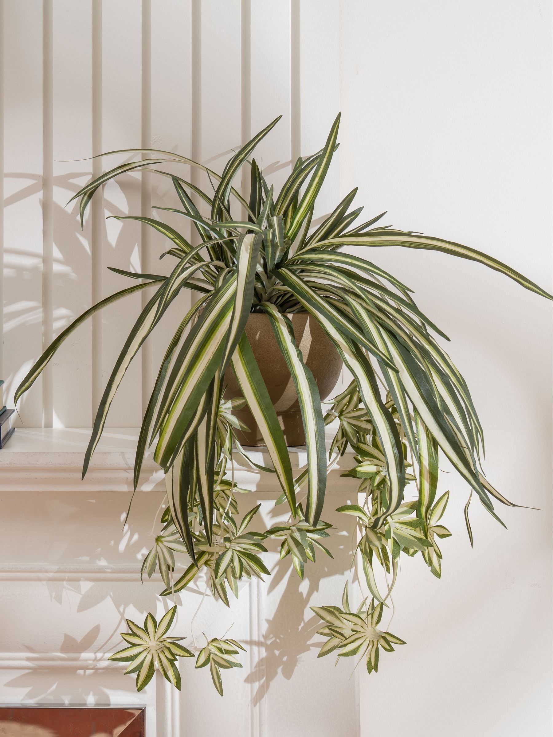 Scottish Everlastings green artificial spider plant in rustic pot (British brand)