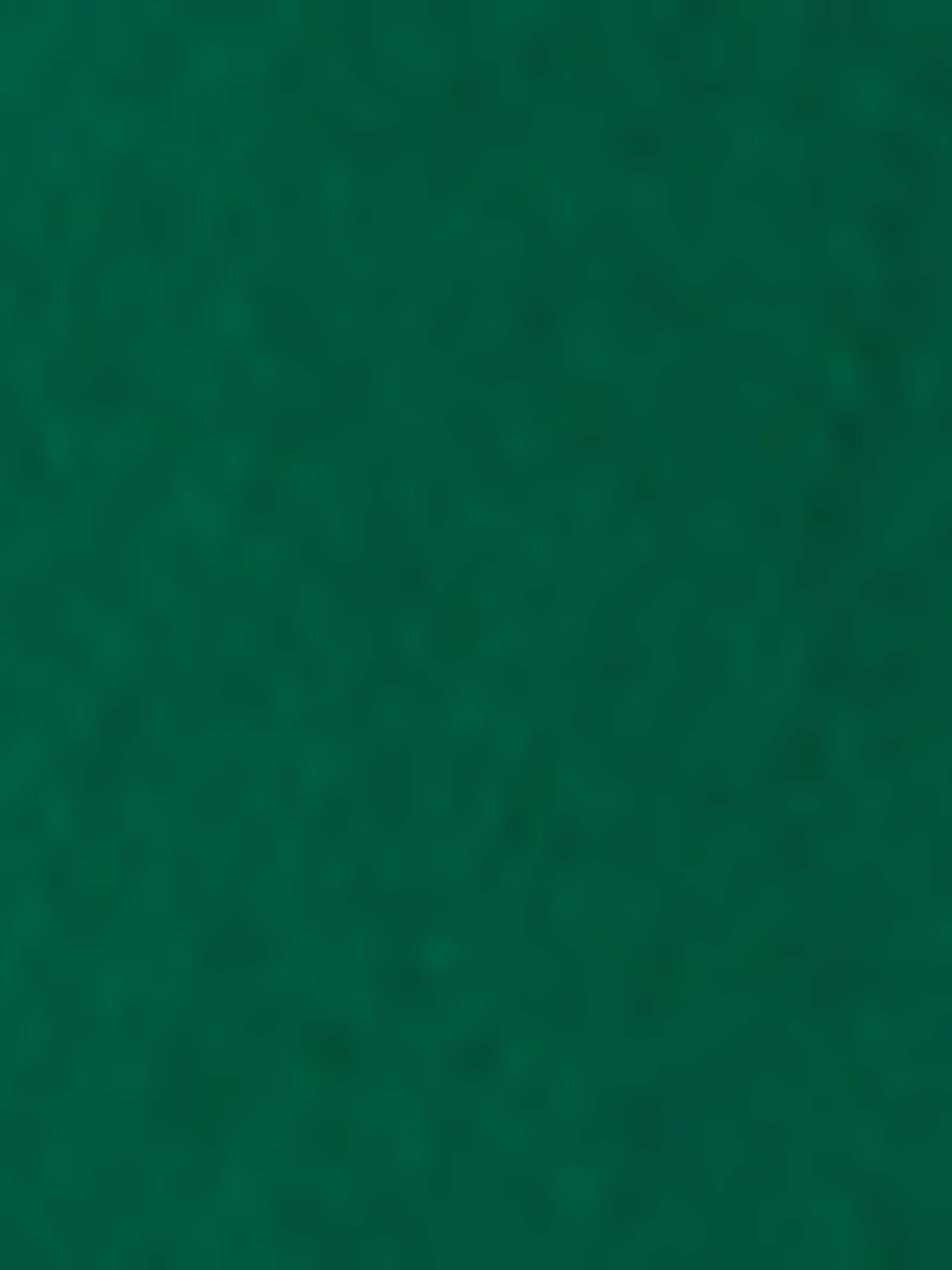 Polo Ralph Lauren green sport twill cap - British product