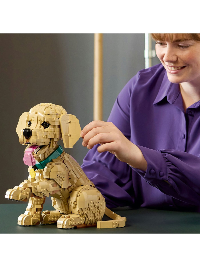 LEGO Icons Golden Retriever Puppy building set 11384, imported from the UK