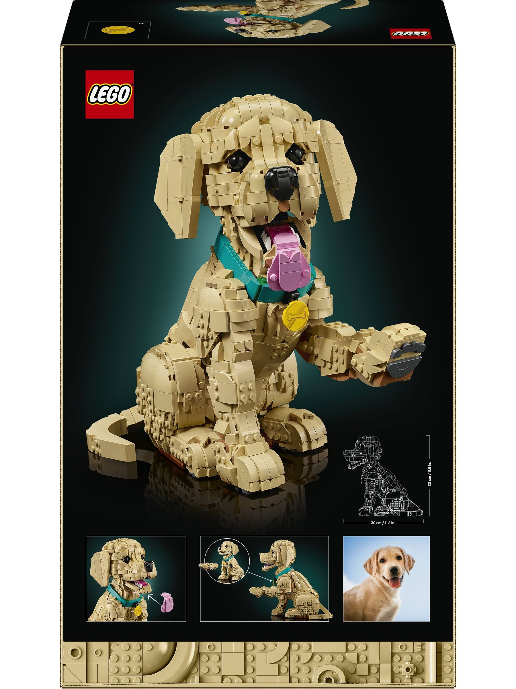 LEGO Icons Golden Retriever Puppy building set 11384, imported from the UK