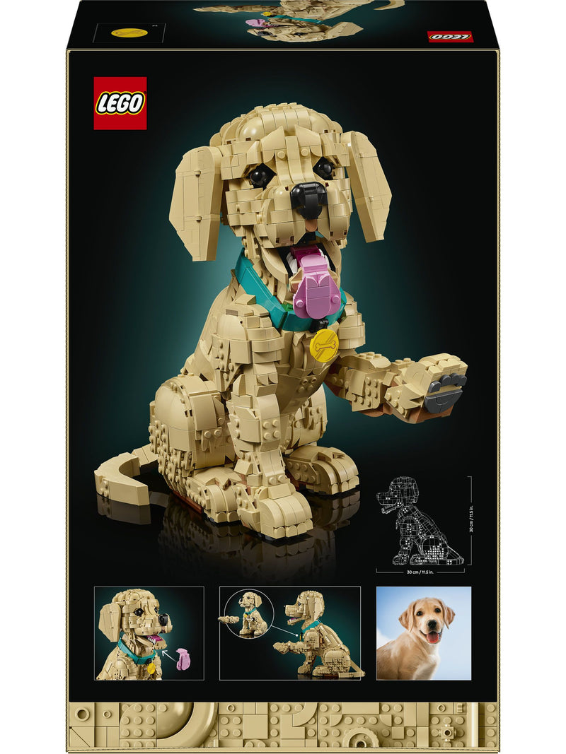 LEGO Icons Golden Retriever Puppy building set 11384, imported from the UK
