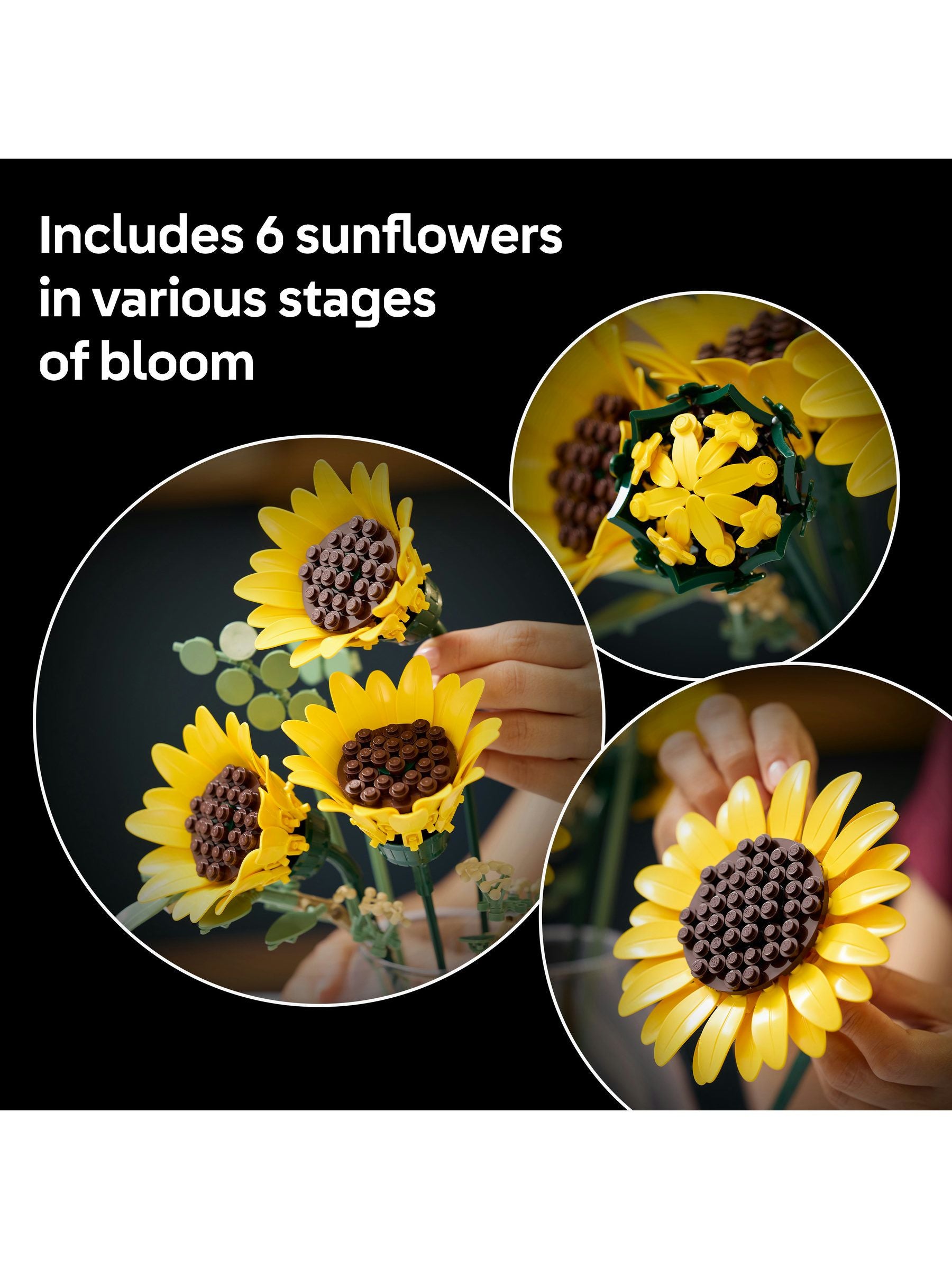 LEGO Botanicals Sunflower Bouquet building set with 6 sunflowers - British product