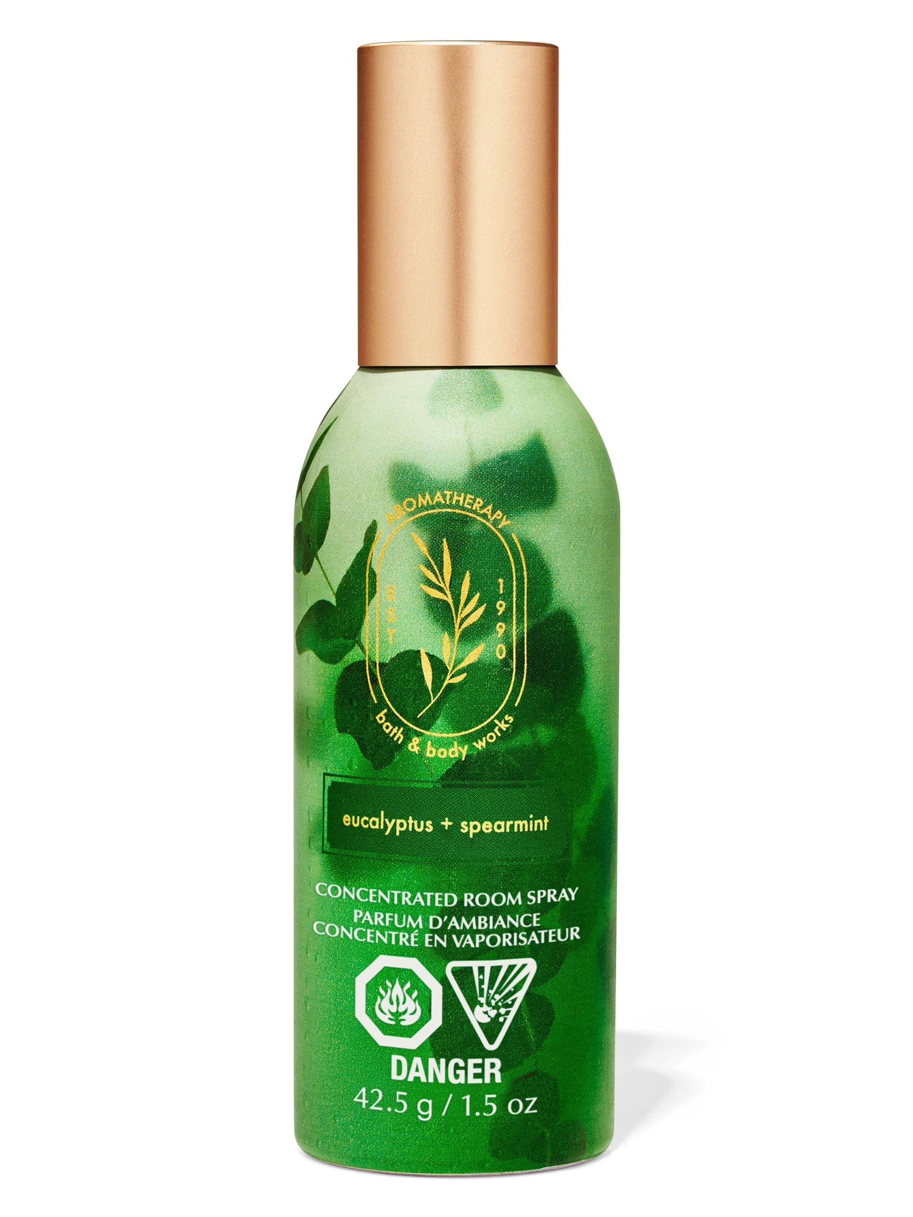Bath & Body Works Ocean Concentrated Room Spray