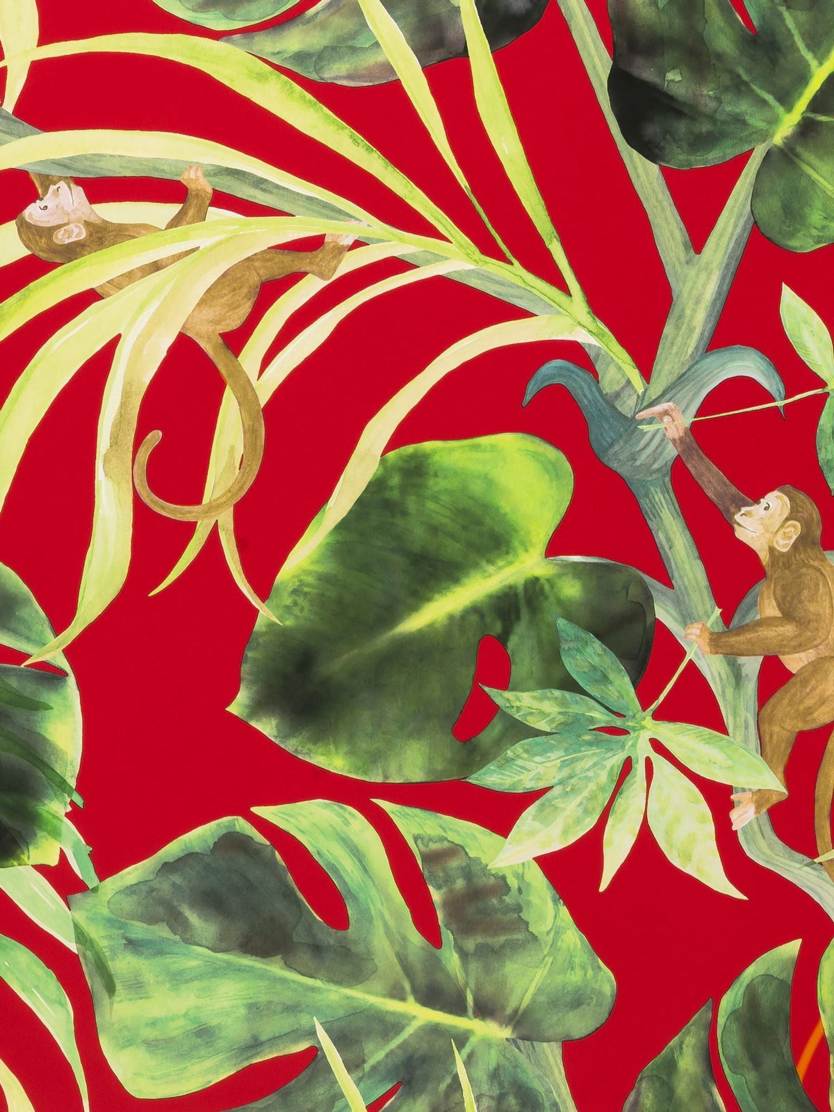 Clarke and Clarke Rouge Monkey Business Exotica 2 A4 Wallpaper Sample