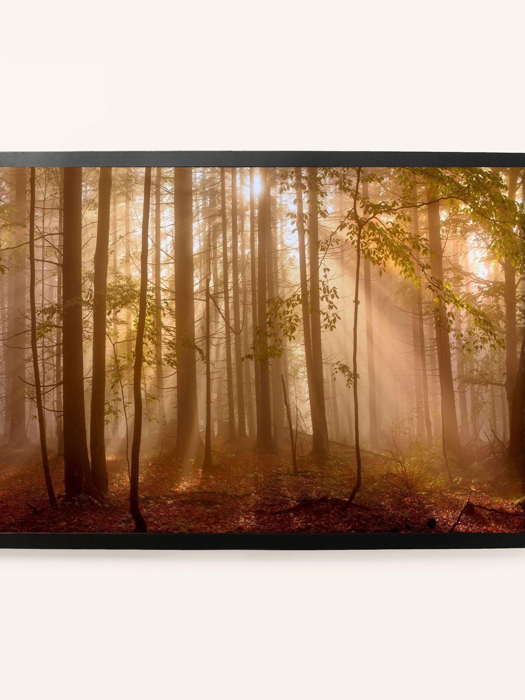 Laura Ashley wall art Sunlit Trees large, imported from the UK