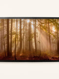 Laura Ashley wall art Sunlit Trees large, imported from the UK