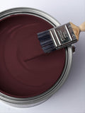 Graham & Brown Divine Damson matt emulsion paint - British product