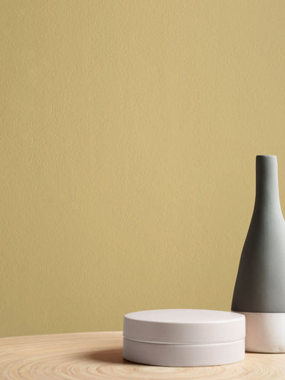 Next Graham & Brown Fortune Teller Resistance Matt Emulsion Paint- Buy online at McGrocer
