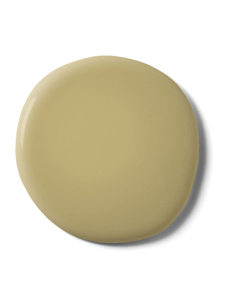 Graham & Brown Fortune Teller matt emulsion paint - British product