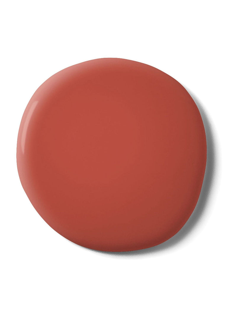 Graham & Brown Fleur resistance matt emulsion paint, imported from the UK