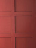 Graham & Brown King of Paradise red emulsion paint (British brand)