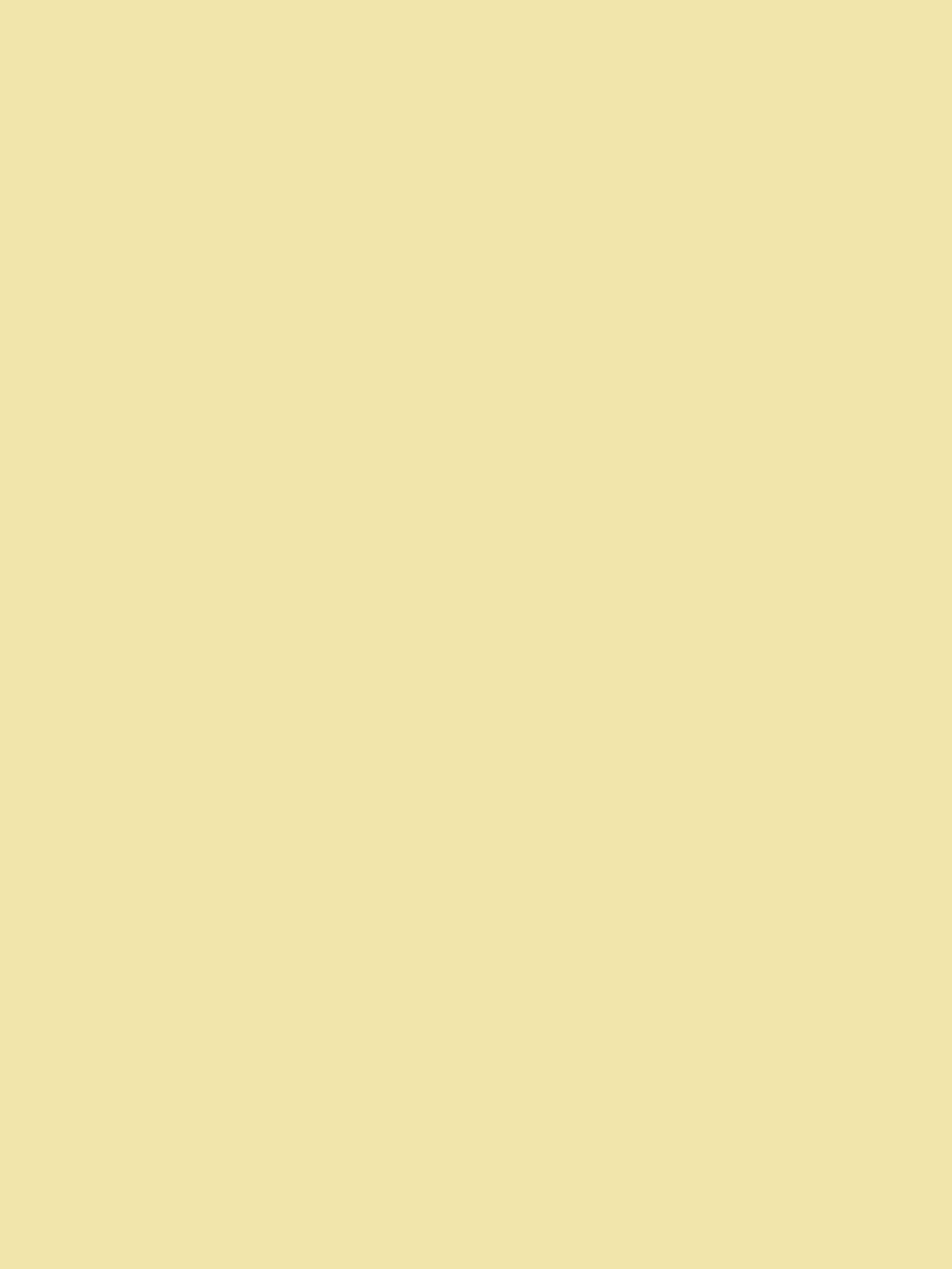 Graham & Brown Chickadee matt emulsion paint summer yellow, imported from the UK