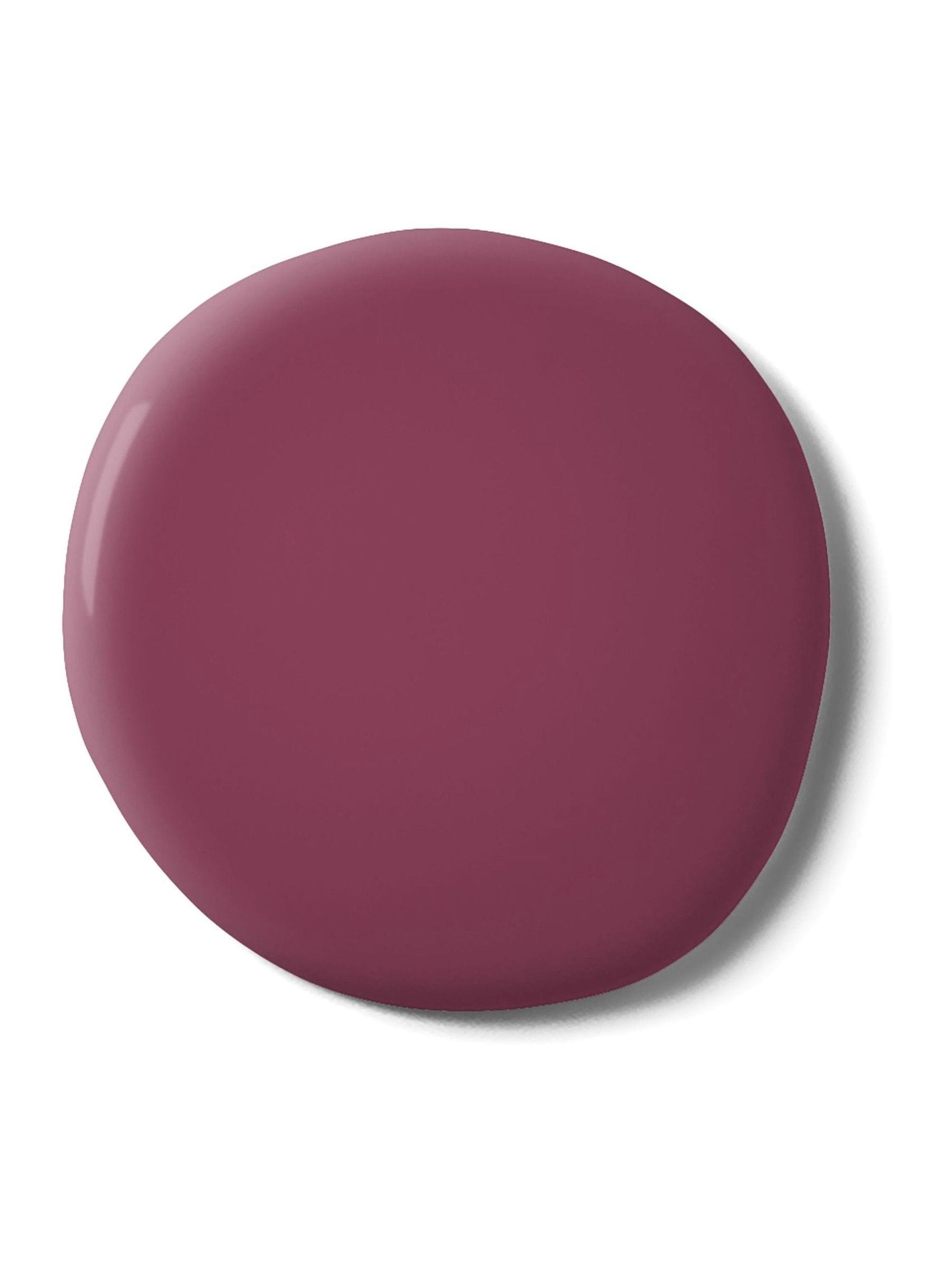 Graham & Brown Ianthe matt emulsion paint, imported from the UK