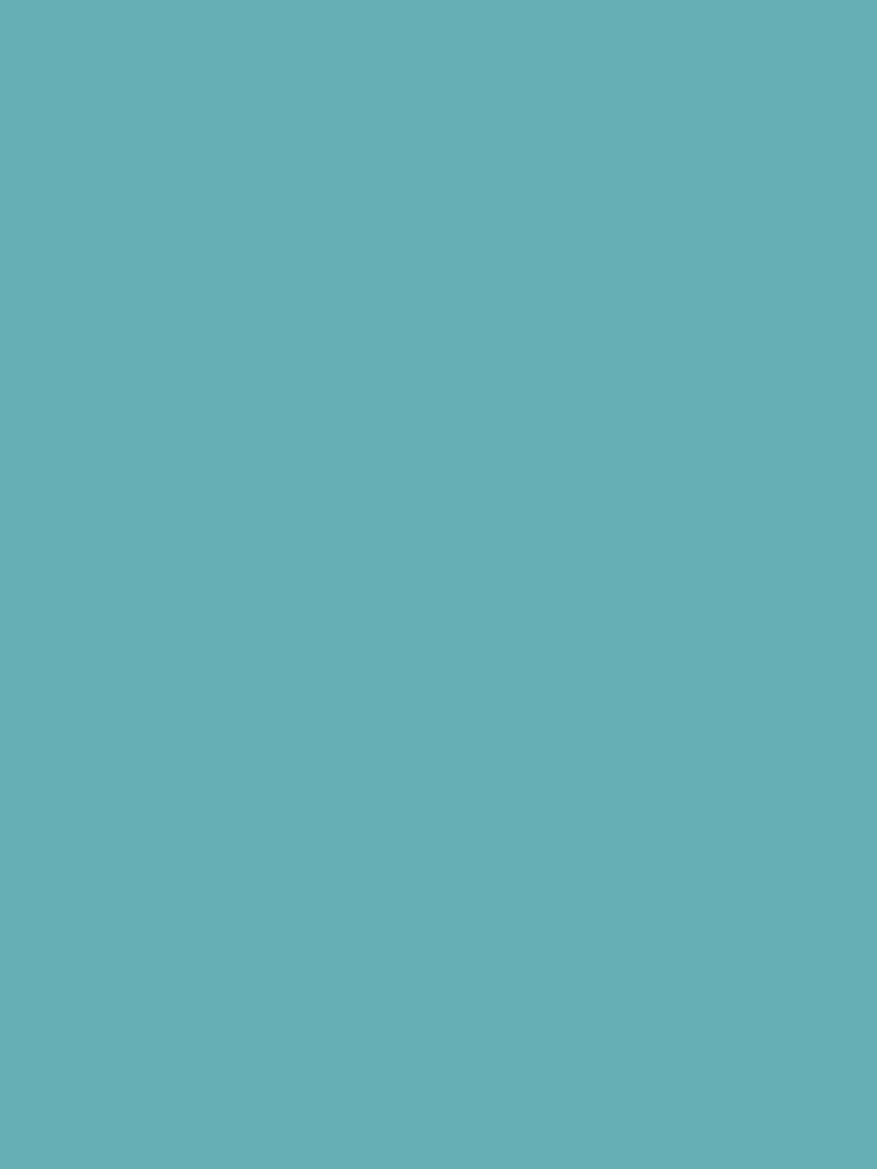 Graham & Brown Lifeguard Resistance matt emulsion paint - British product